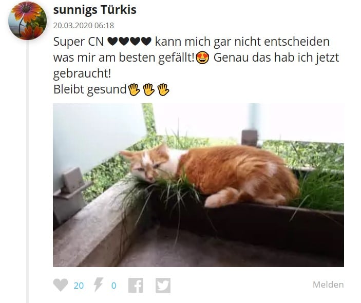 Cute News Kommentar bei watson