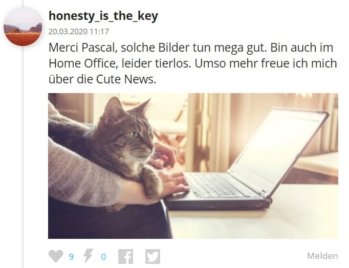 Kommentar bei den Cute News auf watson.ch