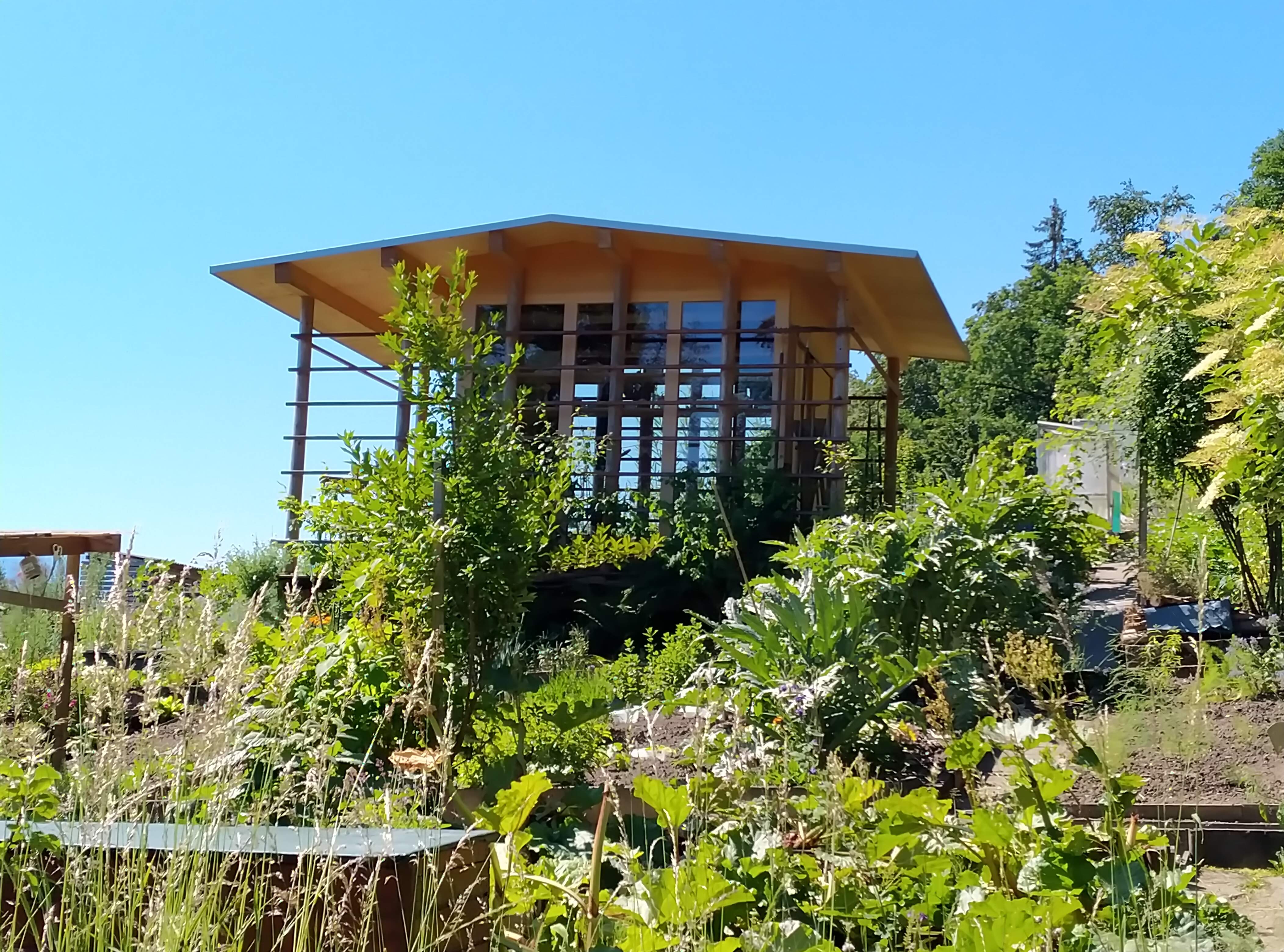 Schrebergarten in Luzern.